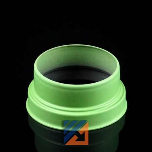 OIL SEAL HOLDER DIFFERENTIAL VW 020