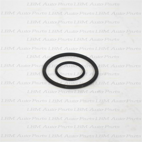 SEALING RING KIT 1-2 ACCUMULATOR VITON D-RINGS
