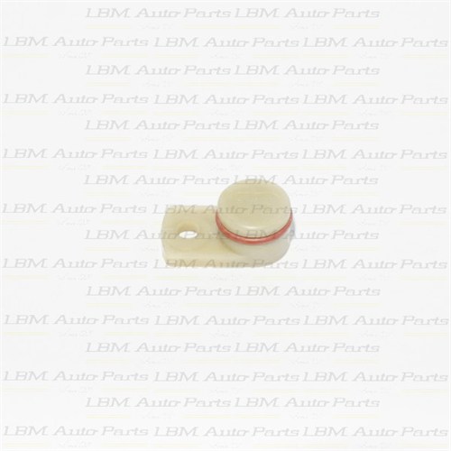PLUG, SPEEDO BLANKING MT75