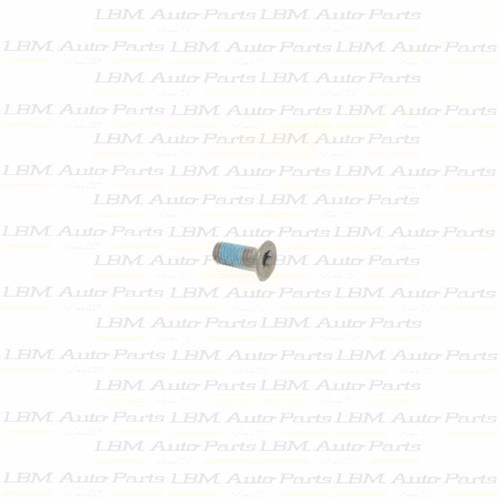 BRG RETAINING PLATE SCREWS