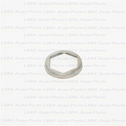PINION NUT LOCK PLATE BMW HAG168 DIFFERENTIAL