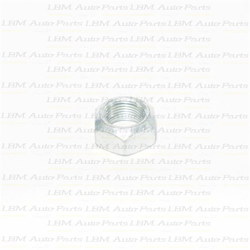 PINION NUT REAR DIFFERENTIAL D40