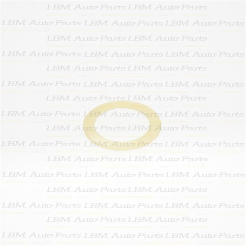 WASHER, REVERSE TO DIRECT DRUM PLASTIC VW 010/087/089/090