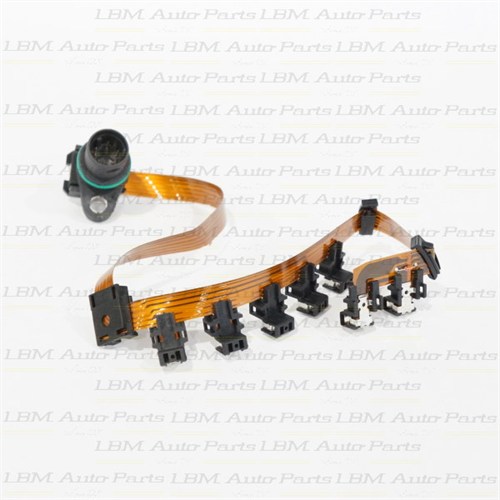 WIRING LOOM VW 01P