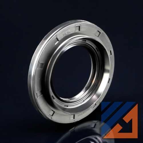 OIL SEAL DIFFERENTIAL