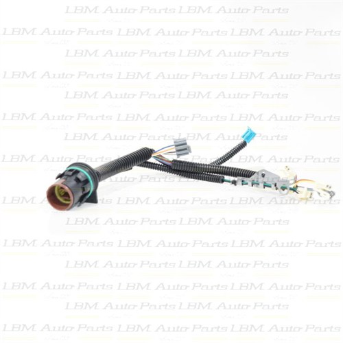 WIRE HARNESS INTERNAL 4T40E 4T45E 6T70