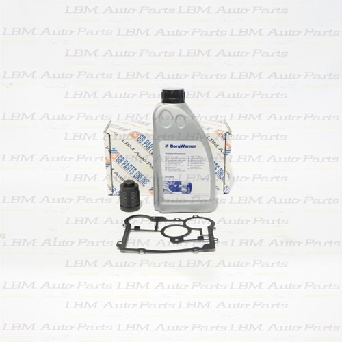 FILTER KIT WITH OIL - REAR DIFFERENTIAL CLUTCH SAAB/OPEL G4