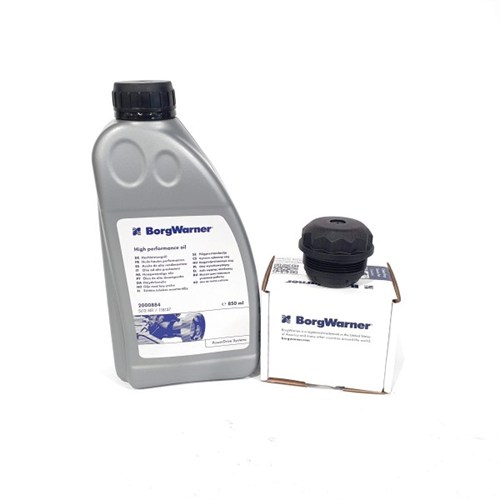 FILTER KIT WITH OIL - REAR DIFFERENTIAL CLUTCH VW GEN 1
