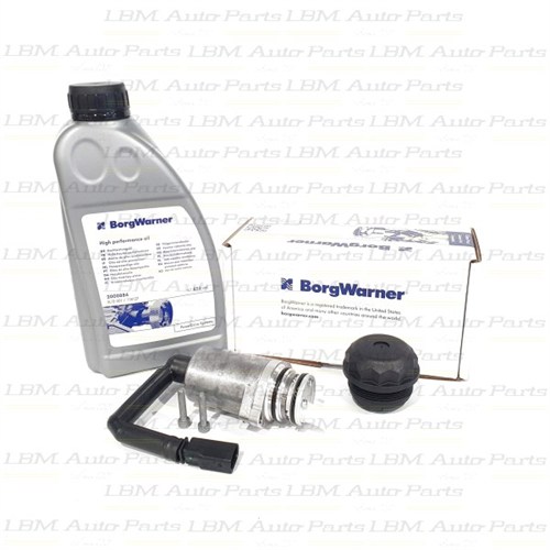 PUMP, FILTER AND OIL - REAR DIFFERENTIAL CLUTCH VW GEN1