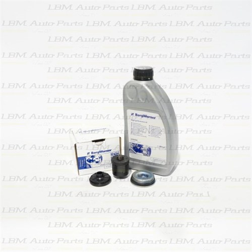 FILTER KIT WITH OIL - REAR DIFFERENTIAL CLUTCH VW GEN2