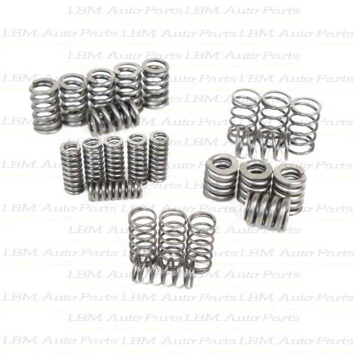 SPRING KIT DCT450 DCT470/MPS6 CLUTCH