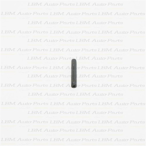 PIN DIFFERENTIAL VW 0A4