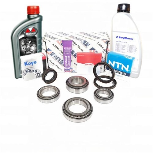 REPAIR KIT REAR DIFFERENTIAL VW 0CQ/0CR/0BS WITH OIL