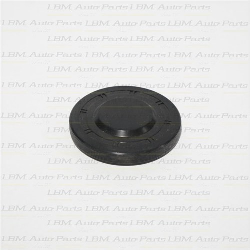CORE PLUG BMW ZF 6-SPEED