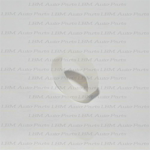 SPEEDO CLIP MG ROVER