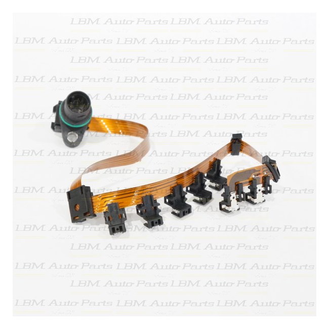 WIRING LOOM VW 01P