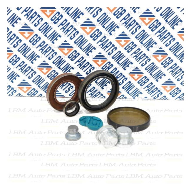 SEAL KIT BMW GS6-17DG/GS6-17BG