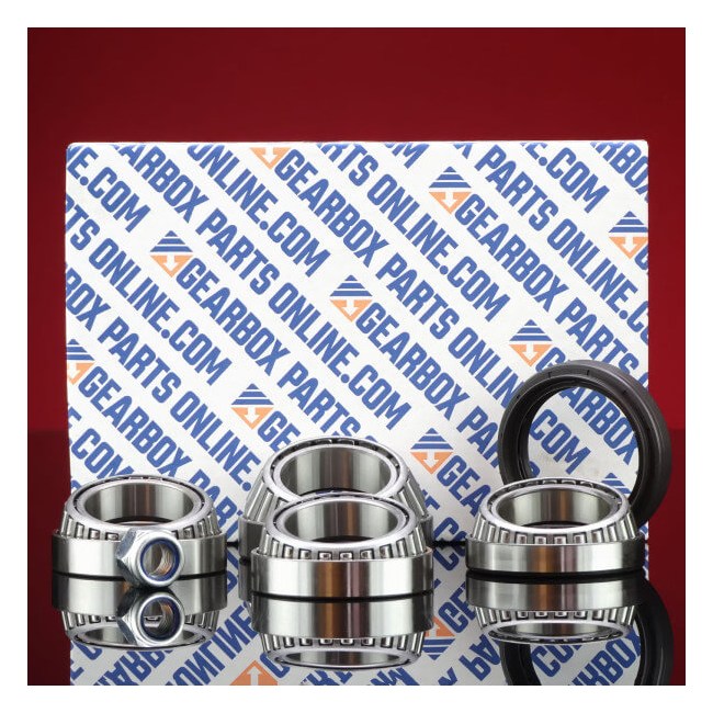 REPAIR KIT REAR DIFF, LAND ROVER P38 & LATE DEFENDER