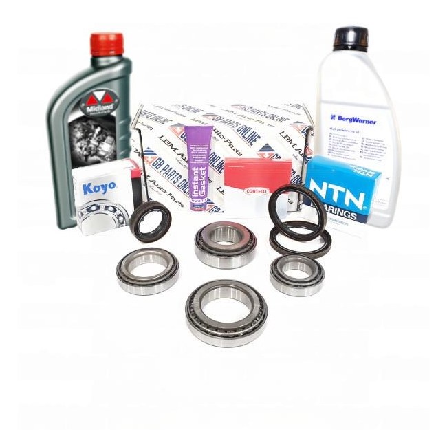REPAIR KIT REAR DIFFERENTIAL VW 0CQ/0CR/0BS WITH OIL